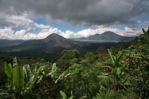 kintamani05